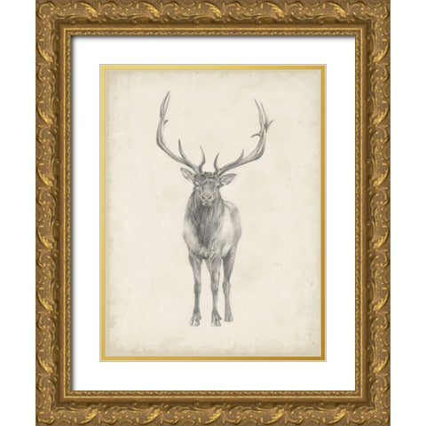 40x30 Custom Elk Study Gold Ornate Wood Framed Art Print with Double Matting by Harper, Ethan