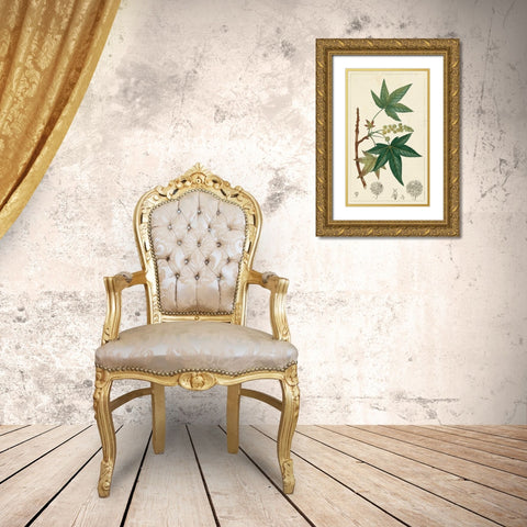 Turpin Maple Tree  Gold Ornate Wood Framed Art Print with Double Matting by Turpin