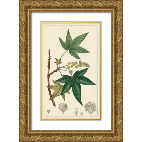 Turpin Maple Tree  Gold Ornate Wood Framed Art Print with Double Matting by Turpin
