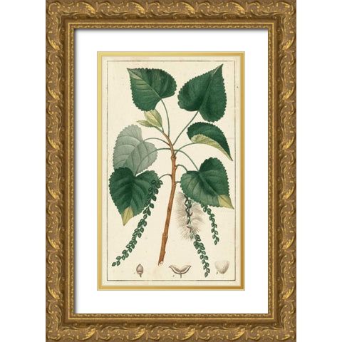 Turpin Poplar Tree  Gold Ornate Wood Framed Art Print with Double Matting by Turpin