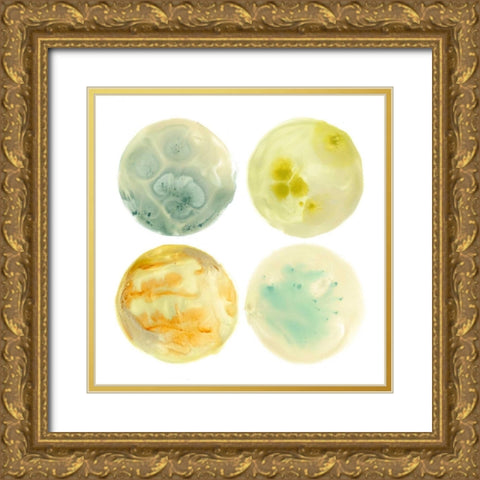 Planetary III Gold Ornate Wood Framed Art Print with Double Matting by Vess, June Erica