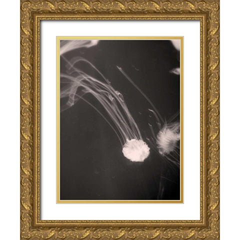 Underwater World 2 Gold Ornate Wood Framed Art Print with Double Matting by Dag, Inc.