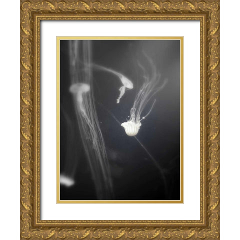 Underwater World 4 Gold Ornate Wood Framed Art Print with Double Matting by Dag, Inc.