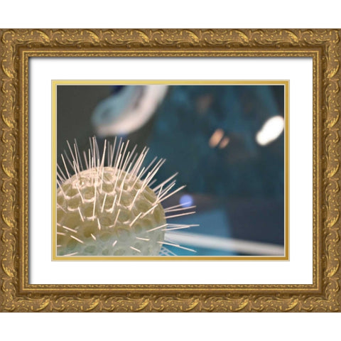 Underwater World 34 Gold Ornate Wood Framed Art Print with Double Matting by Dag, Inc.