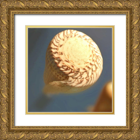 Underwater World 38 Gold Ornate Wood Framed Art Print with Double Matting by Dag, Inc.