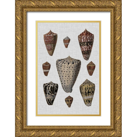 Shell Display I Gold Ornate Wood Framed Art Print with Double Matting by Diderot, Denis