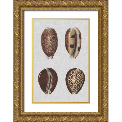 Shell Display III Gold Ornate Wood Framed Art Print with Double Matting by Diderot, Denis