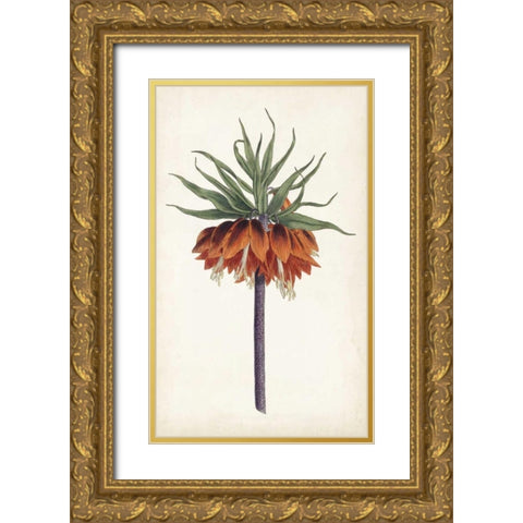 Curtis Garden Beauties II Gold Ornate Wood Framed Art Print with Double Matting by Curtis