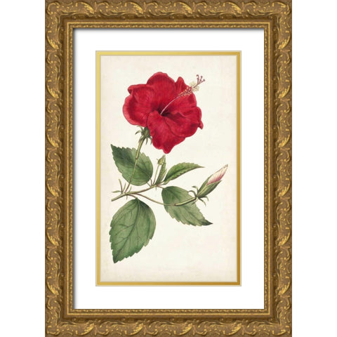 Curtis Garden Beauties III Gold Ornate Wood Framed Art Print with Double Matting by Curtis