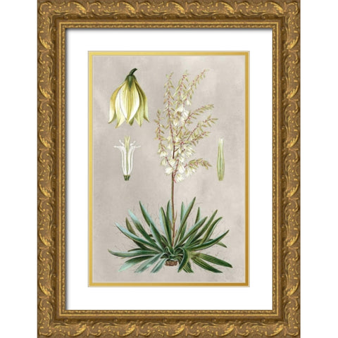 Tropical Varieties I Gold Ornate Wood Framed Art Print with Double Matting by Bessa, Pancrace