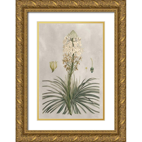 Tropical Varieties III Gold Ornate Wood Framed Art Print with Double Matting by Bessa, Pancrace