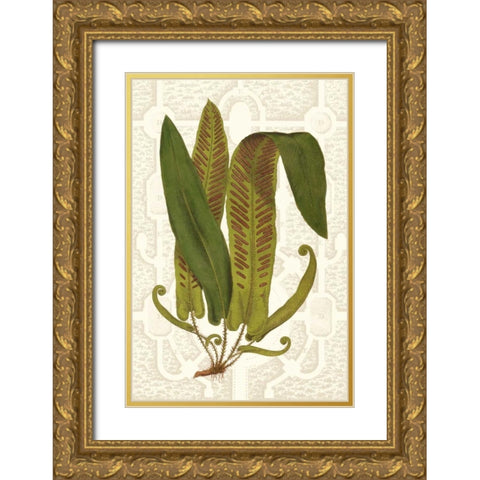 Garden Ferns I Gold Ornate Wood Framed Art Print with Double Matting by Vision Studio
