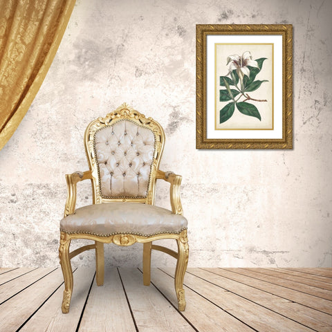 Ivory Garden I Gold Ornate Wood Framed Art Print with Double Matting by Curtis