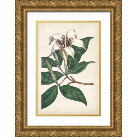 Ivory Garden I Gold Ornate Wood Framed Art Print with Double Matting by Curtis