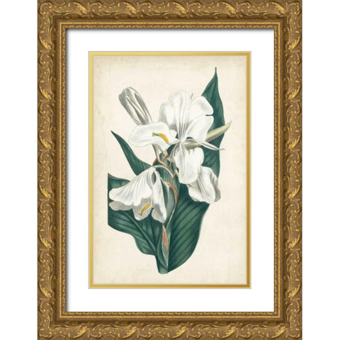Ivory Garden IV Gold Ornate Wood Framed Art Print with Double Matting by Curtis