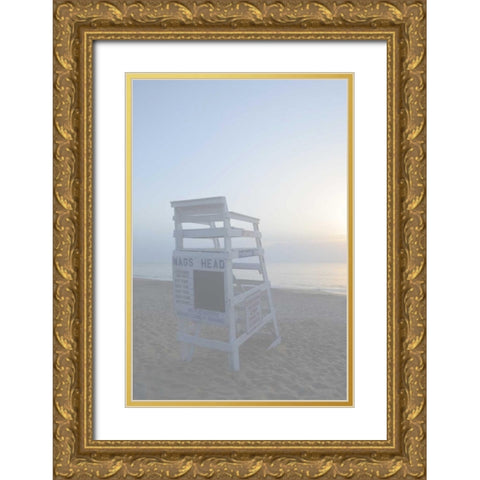 Off Duty I Gold Ornate Wood Framed Art Print with Double Matting by Chandler, Sharon