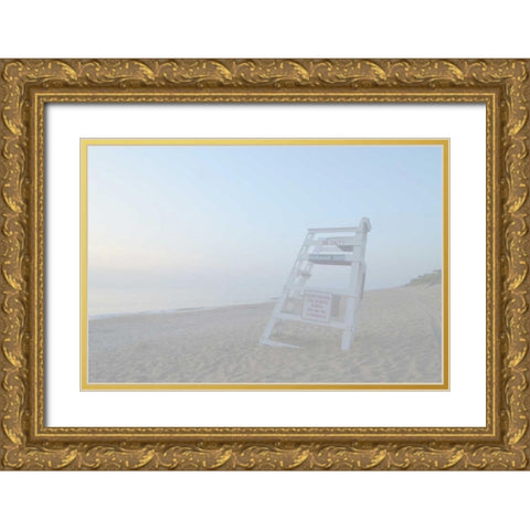 Off Duty II Gold Ornate Wood Framed Art Print with Double Matting by Chandler, Sharon