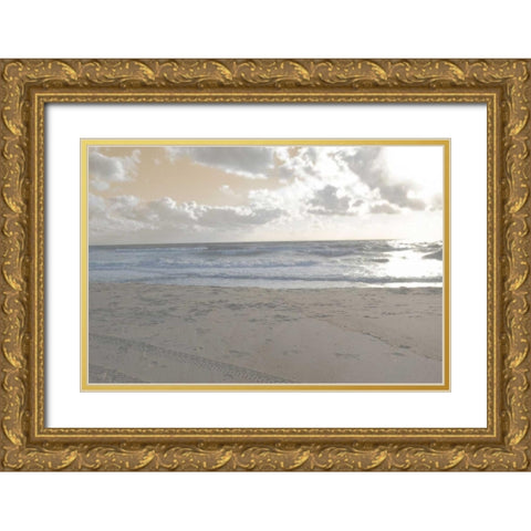 Serene Sea II Gold Ornate Wood Framed Art Print with Double Matting by Chandler, Sharon