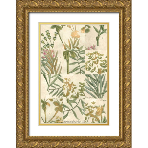 Garden Grid II Gold Ornate Wood Framed Art Print with Double Matting by Weinmann, Johann