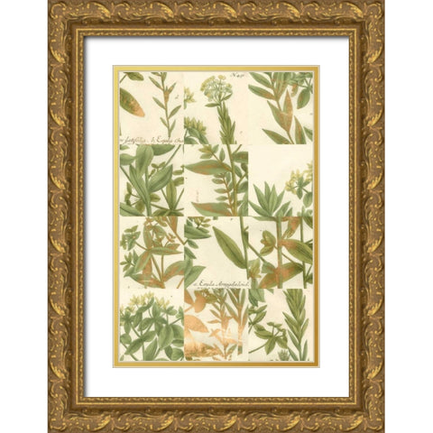 Garden Grid III Gold Ornate Wood Framed Art Print with Double Matting by Weinmann, Johann