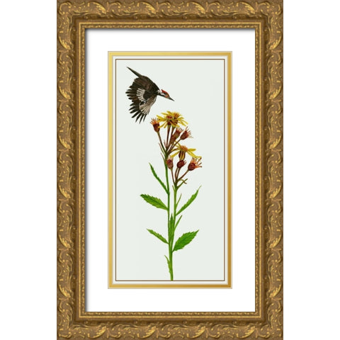 Tephroseris Flammea I Gold Ornate Wood Framed Art Print with Double Matting by Wang, Melissa