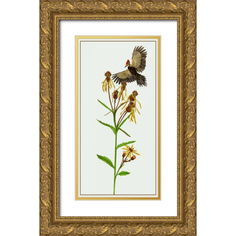 Tephroseris Flammea II Gold Ornate Wood Framed Art Print with Double Matting by Wang, Melissa