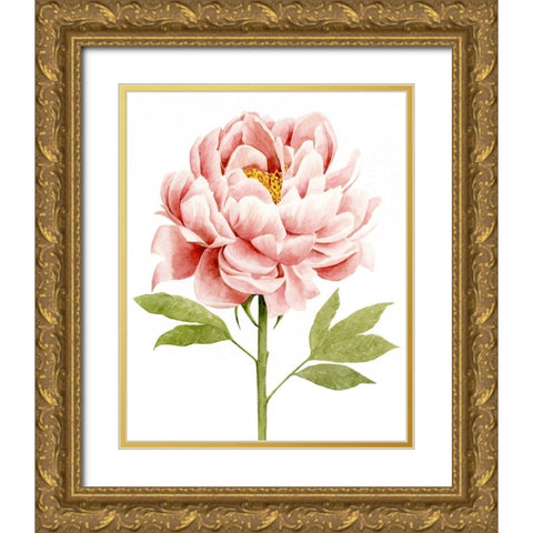 Watercolor Peony II Gold Ornate Wood Framed Art Print with Double Matting by Popp, Grace