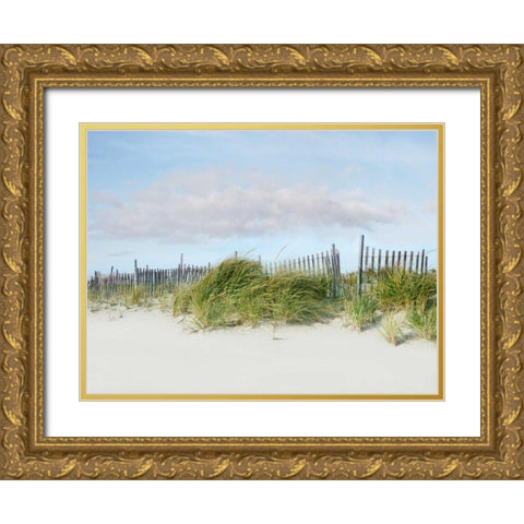 Beachscape IV Gold Ornate Wood Framed Art Print with Double Matting by McLoughlin, James