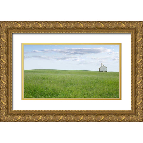 Farm and Country I Gold Ornate Wood Framed Art Print with Double Matting by McLoughlin, James