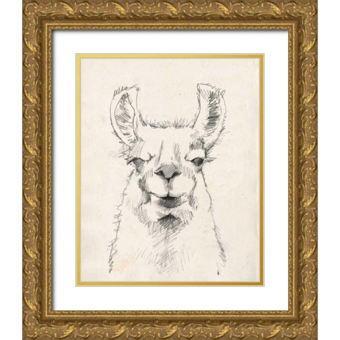 Llama Portrait II Gold Ornate Wood Framed Art Print with Double Matting by Goldberger, Jennifer