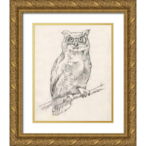 Owl Portrait I Gold Ornate Wood Framed Art Print with Double Matting by Goldberger, Jennifer