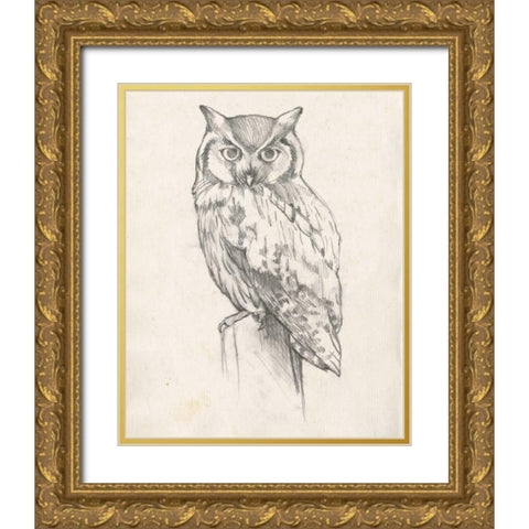 Owl Portrait II Gold Ornate Wood Framed Art Print with Double Matting by Goldberger, Jennifer