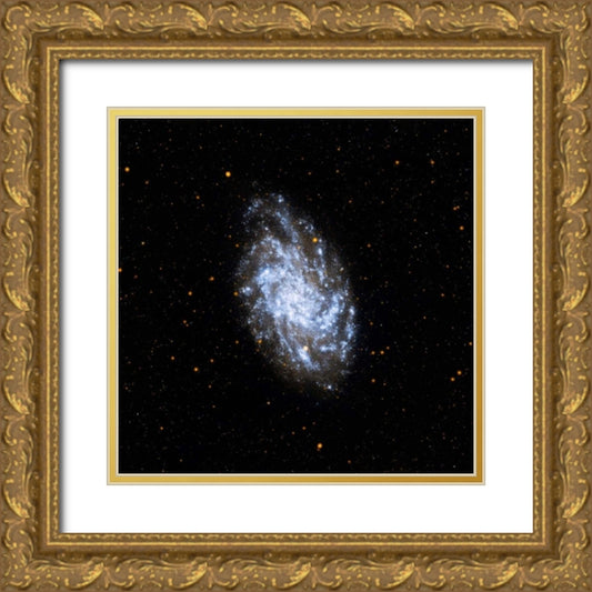 Perspective Image