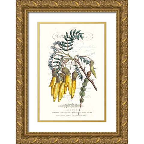 Flower Garden Varietals III Gold Ornate Wood Framed Art Print with Double Matting by Vision Studio