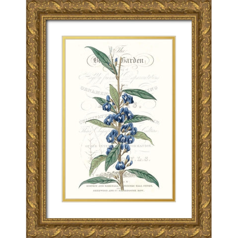 Flower Garden Varietals VI Gold Ornate Wood Framed Art Print with Double Matting by Vision Studio