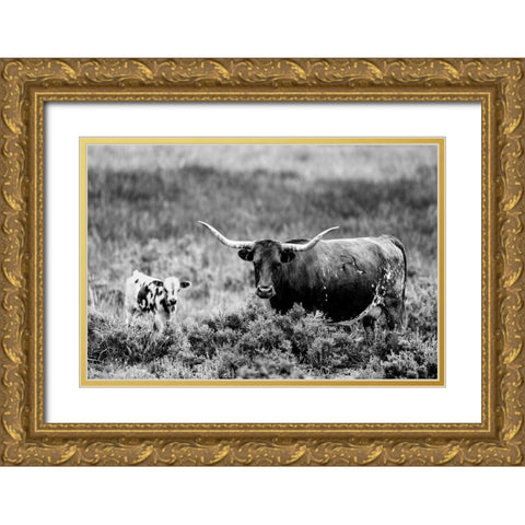 B and W Longhorn II Gold Ornate Wood Framed Art Print with Double Matting by Stockton, Tyler