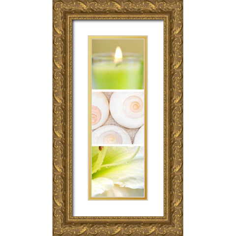 Facets of Spring II Gold Ornate Wood Framed Art Print with Double Matting by Orlov, Irena