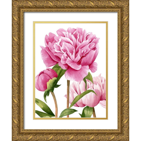 Winsome Peonies II Gold Ornate Wood Framed Art Print with Double Matting by Popp, Grace