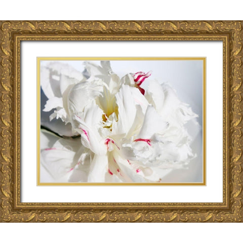 Breathless I Gold Ornate Wood Framed Art Print with Double Matting by Orlov, Irena