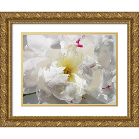 Breathless II Gold Ornate Wood Framed Art Print with Double Matting by Orlov, Irena