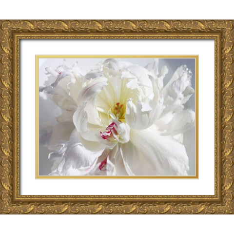 Breathless V Gold Ornate Wood Framed Art Print with Double Matting by Orlov, Irena