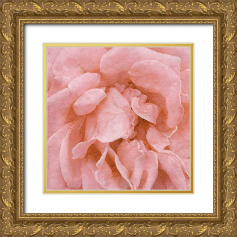 Wall Flower IV Gold Ornate Wood Framed Art Print with Double Matting by Saunders, Alonzo