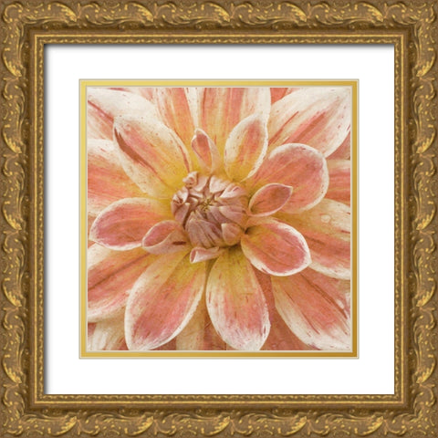 Wall Flower V Gold Ornate Wood Framed Art Print with Double Matting by Saunders, Alonzo