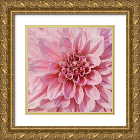 Wall Flower VII Gold Ornate Wood Framed Art Print with Double Matting by Saunders, Alonzo