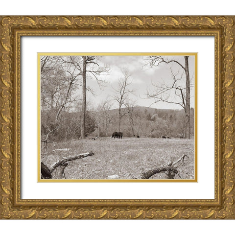 Sepia Farm Study II Gold Ornate Wood Framed Art Print with Double Matting by Ludwig, Alicia