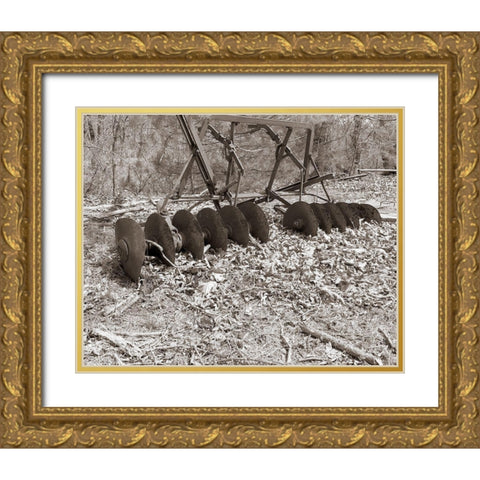 Sepia Farm Study III Gold Ornate Wood Framed Art Print with Double Matting by Ludwig, Alicia