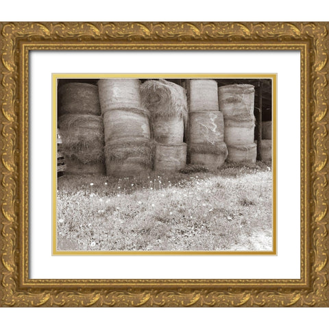 Sepia Farm Study V Gold Ornate Wood Framed Art Print with Double Matting by Ludwig, Alicia