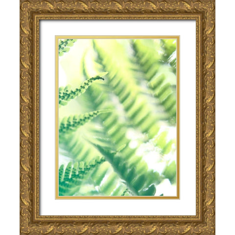 Fern Glow VI Gold Ornate Wood Framed Art Print with Double Matting by Johnson, Jason