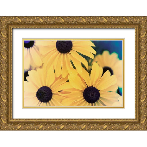 Susans II Gold Ornate Wood Framed Art Print with Double Matting by Johnson, Jason