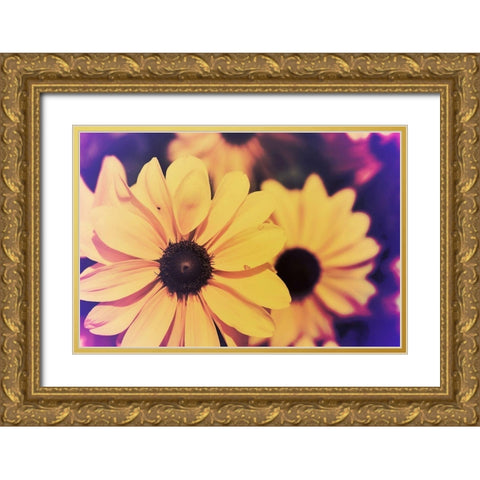 Susans III Gold Ornate Wood Framed Art Print with Double Matting by Johnson, Jason